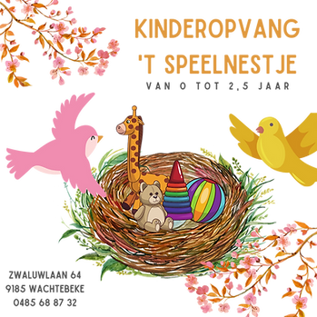 logo speelnestje.png