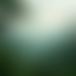 Explorez la jungle de Sumatra avec nos services de trekking