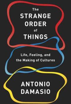 When Meaning Tears: On Feelings, Emotions, and the Relational Work of Becoming