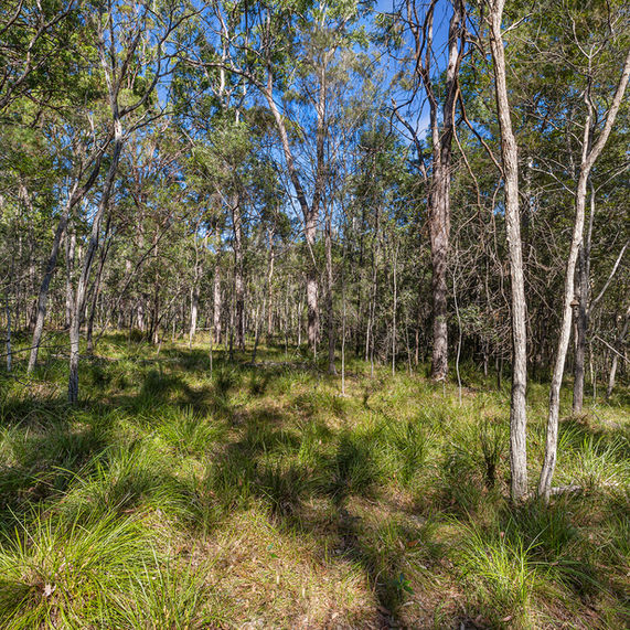 Link to property listing on realestate.com.au by Desley Aylward