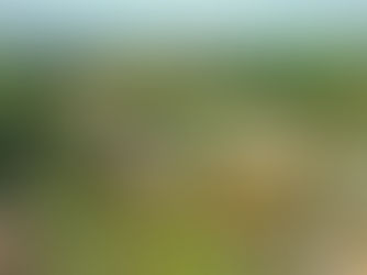 Como escolher o melhor empreendimento de multipropriedade para investir