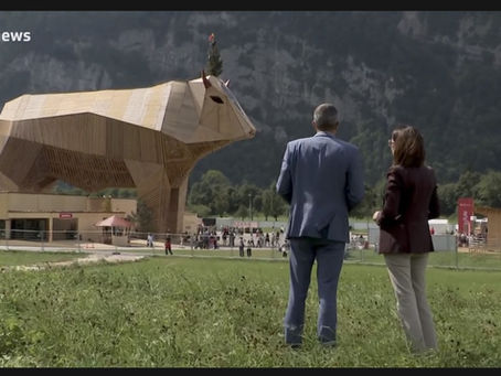 Susanne Vincenz-Stauffacher in der Tagesschau (SRF)