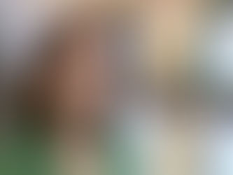 Susanne Vincenz-Stauffacher in der Tagesschau