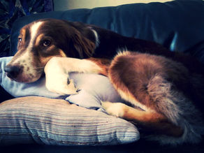 Site Changes A-Go-Go