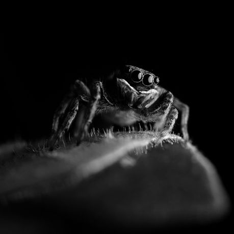 Think Twice Before You Judge