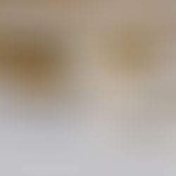 Stoats: Dangerous Motherfuckers