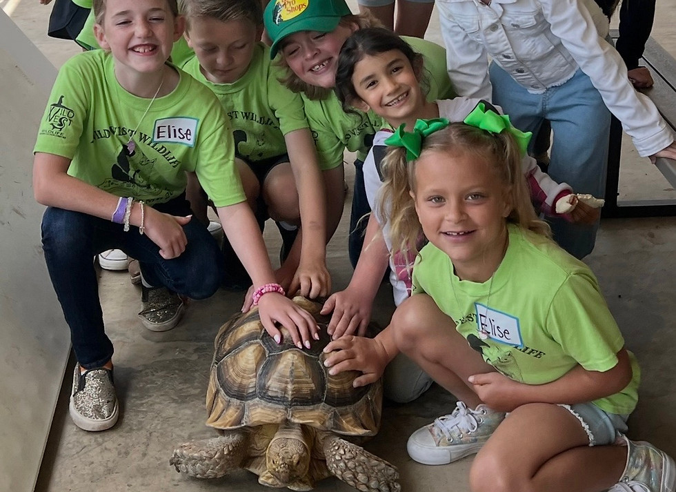 Educational Tour at Wild West Wilf Life