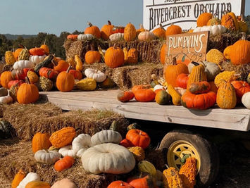 fall festival at Rivercrest Orchard Fayetteville, AR