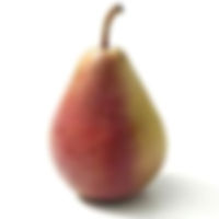 seckel_pear.jpg