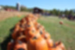 Fall Festival at Summers Farm in Middletown, MD