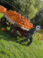 Halloween Homepage.jpg