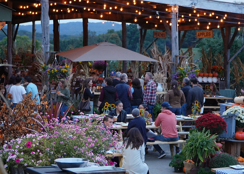 Summer Events | Outhouse