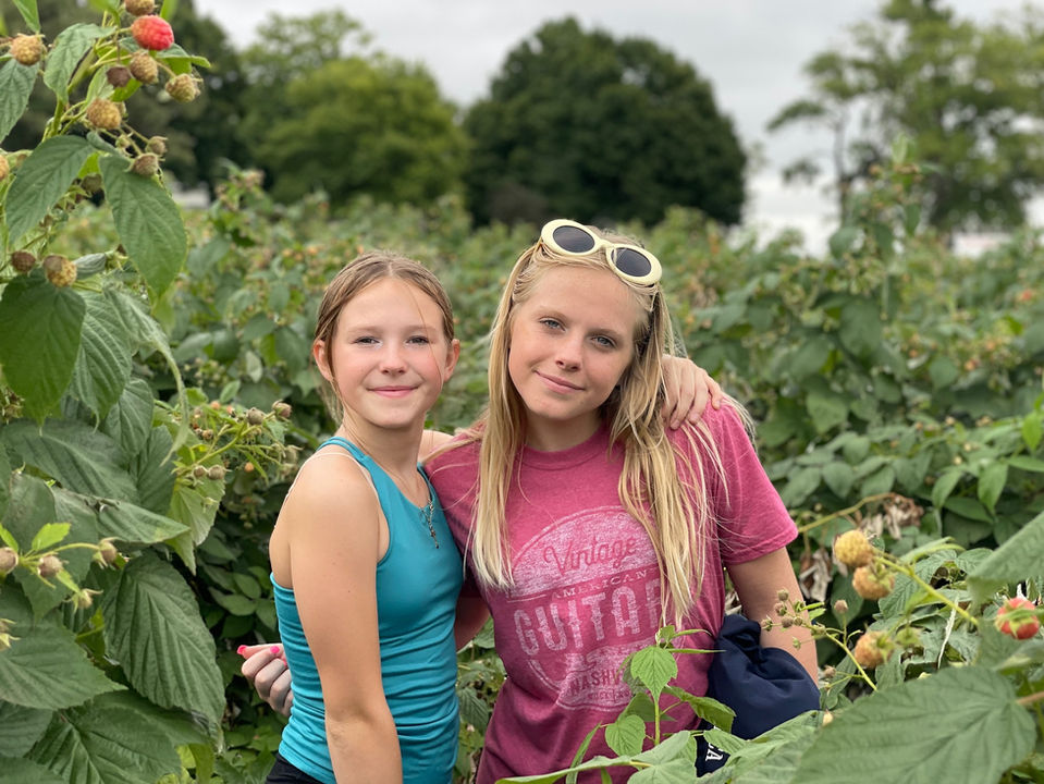 U-Pick Raspberries at Thompson Farm in Bristol, Wisconsin
