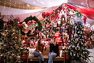 Cambria Christmas Market