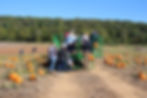 People on a tractor trailer picking pumpkins in a field, Summers Farm.