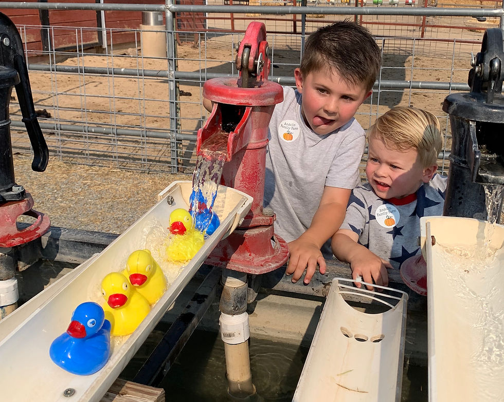 Two boys playing with rubber ducks at a water pump.