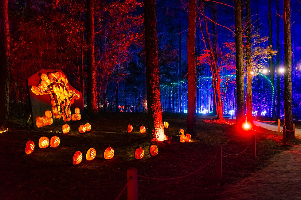 Glowing jack-o'-lanterns along a wooded path at night.