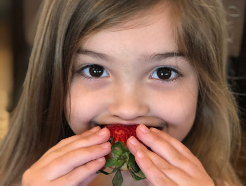 strawberry festival at Rivercrest Orchard Fayetteville, AR
