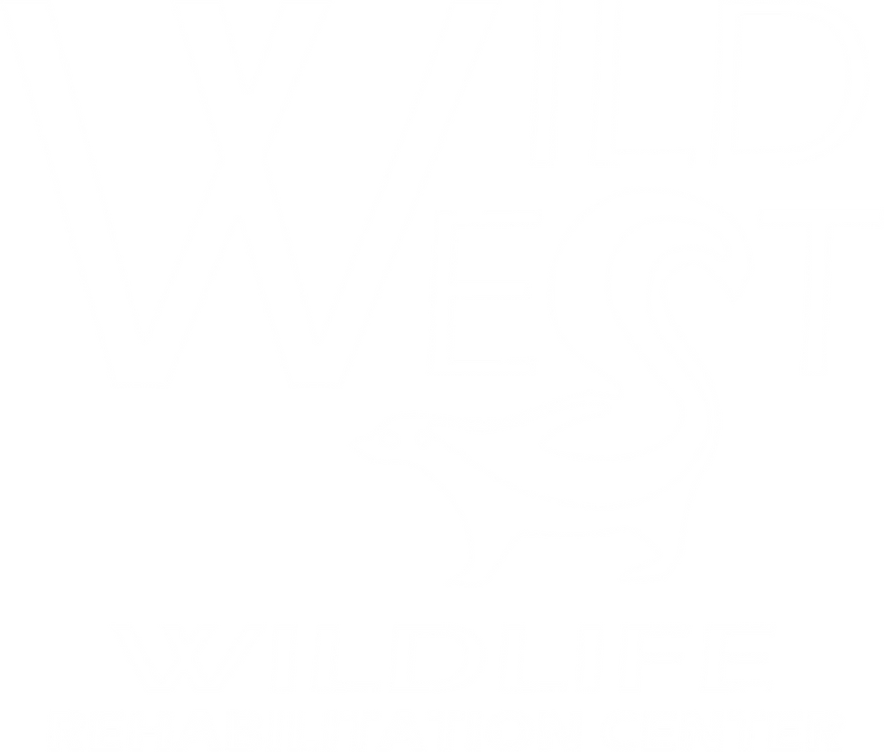 Wild West Wildlife Rehabilitation Center white
