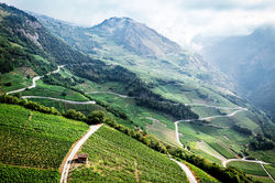 Aymon_Dominique-copyright-Olivier-Maire_02