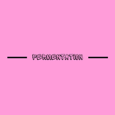 FERMENTATION - EMMA INCH