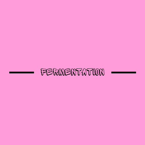 FERMENTATION - EMMA INCH