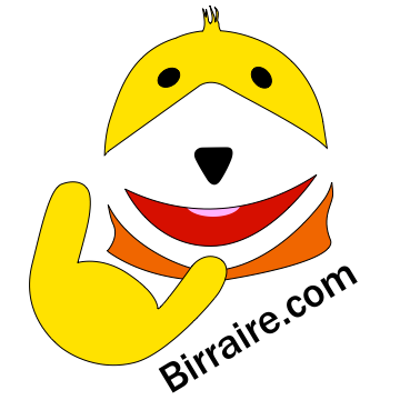 birraire_logo (1)