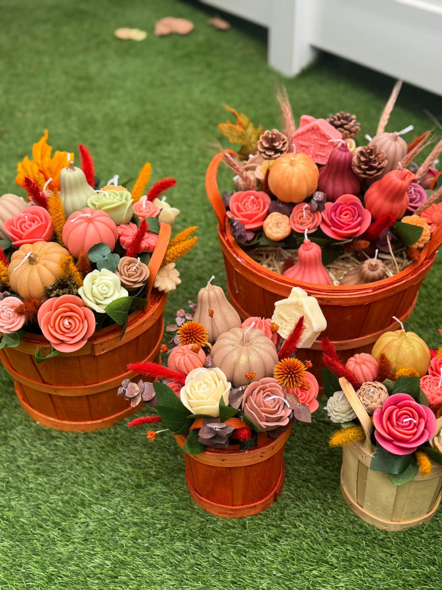 Harvest Glow Collections