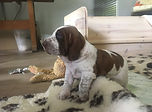 IMG_8011.jpeg