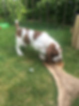 IMG_8152.jpeg