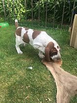 IMG_8152.jpeg