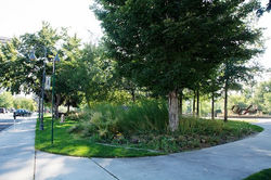 1 Bicentennial Park Site 1 Autumn 2015 (low)