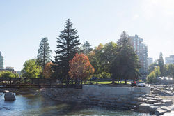 3C_Wingfield_Park_October_2015 (low)