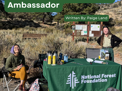 Reflections from a Forest Ambassador