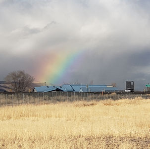 From Member to Director: Elena's AmeriCorps Journey