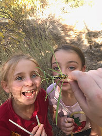 monarch and kids.jpeg