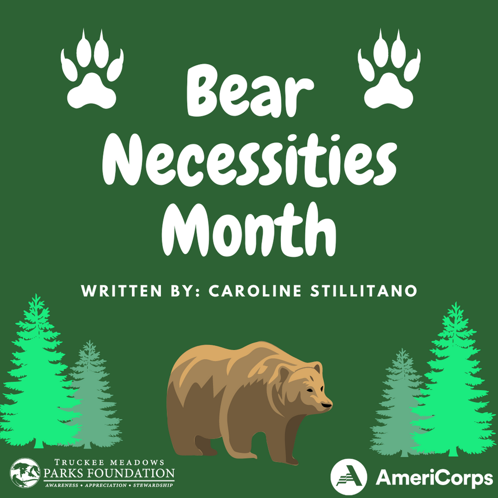 Bear Necessities Month