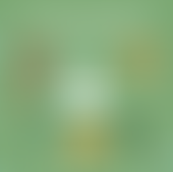 Mental Health Management During the Holidays