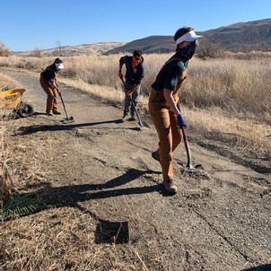 Then and Now: A Year of Restoration at the Wetland