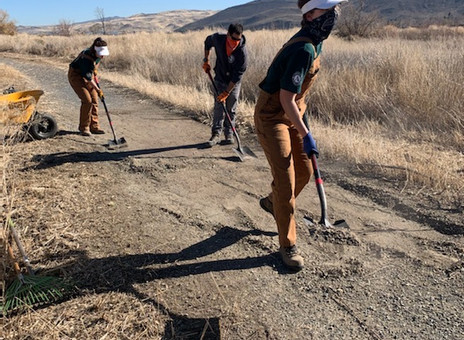 Then and Now: A Year of Restoration at the Wetland