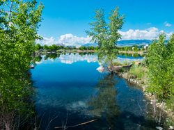 1 Teglia's Site 2 5-14-2018