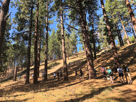 TMPF Recommends: Our Top 10 Favorite Trails