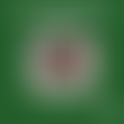 Let's kick it! Your Unofficial Guide to Intramural Sports