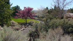 1 Thomas Creek Site 1 Spring 2014 (low)