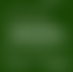 Imprints of Animals: What Animals Leave Behind