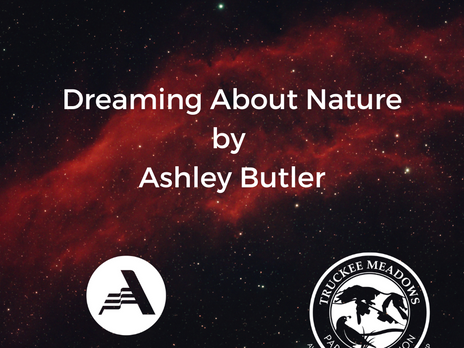 Dreaming about Nature