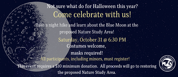 Copy of Blue Moon Promo (1).png