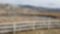 Damonte Wetland Trail