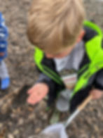 Insect Survey!