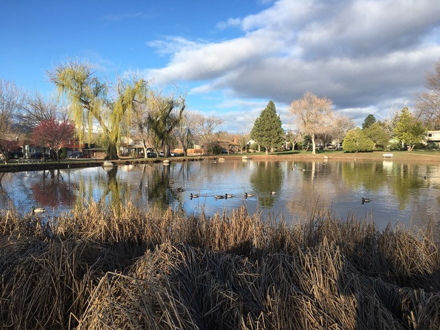 Lake Park Volutneers
